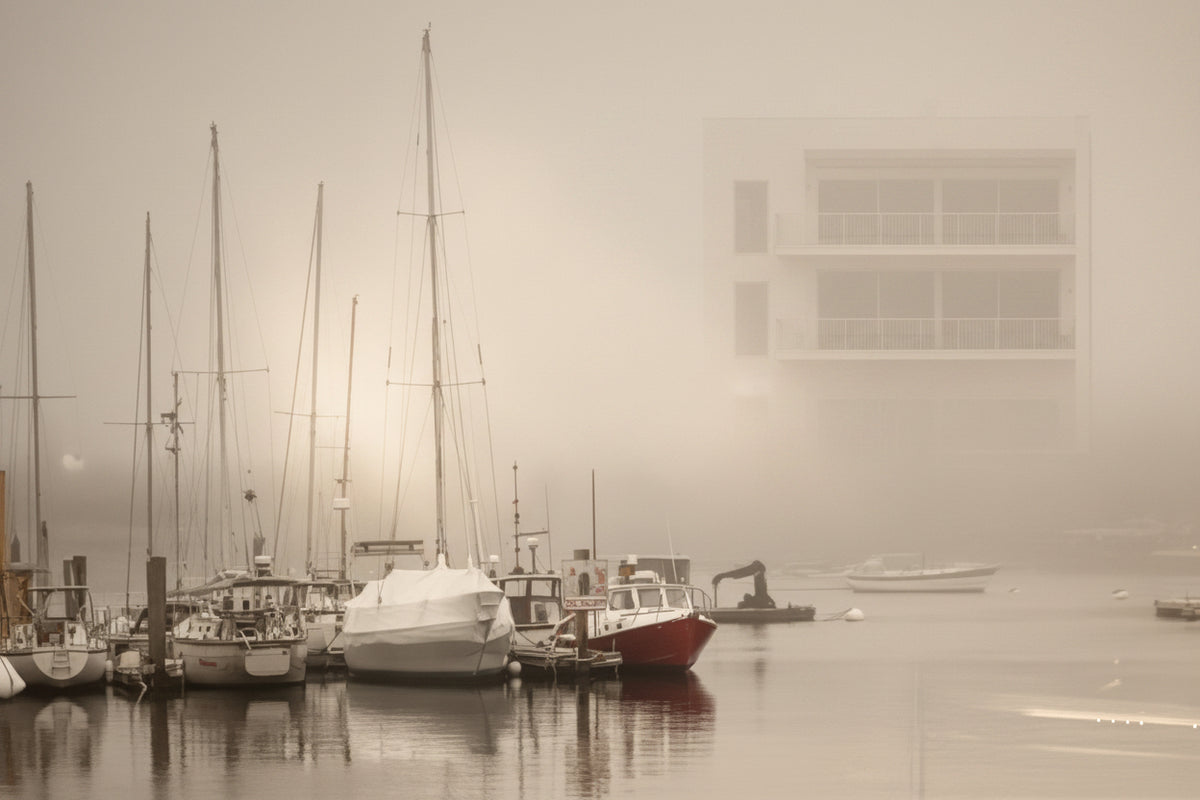  Woods Hole Haze
