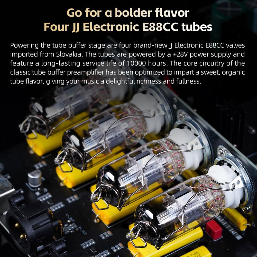 FIIO Warmer R2R Desktop Tube Buffer & R2R DAC/Amp – Fully Differential 24-Bit R2R Resistor Ladder, Dual VU Meters, 46W Linear Power Supply, USB/Optical/Coaxial Inputs, RCA/XLR Output (Black)